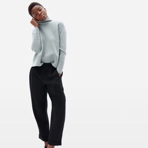 Everlane The Put-Together Pleat Pant